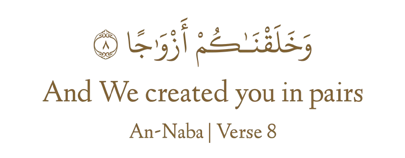 بسم الله الرحمن الرحيم