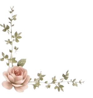ورود الزاوية السفلى اليسرى